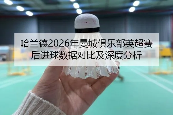 ha-lan-de-nian-man-cheng-ju-le-bu-ying-chao-sai-hou-jin-qiu-shu-ju-dui-bi-ji-shen-du-fen-xi-2-440.jpg